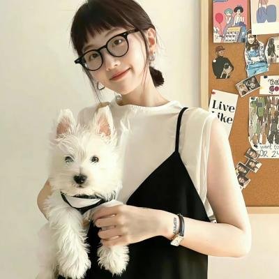 警徽天职第四季 封面