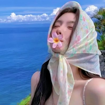 双生赤狐 海报